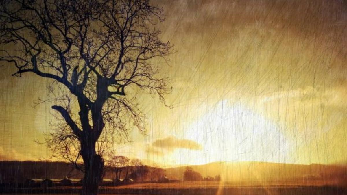 vreme capricioasa in urmatoarele doua saptamani vezi prognoza meteo