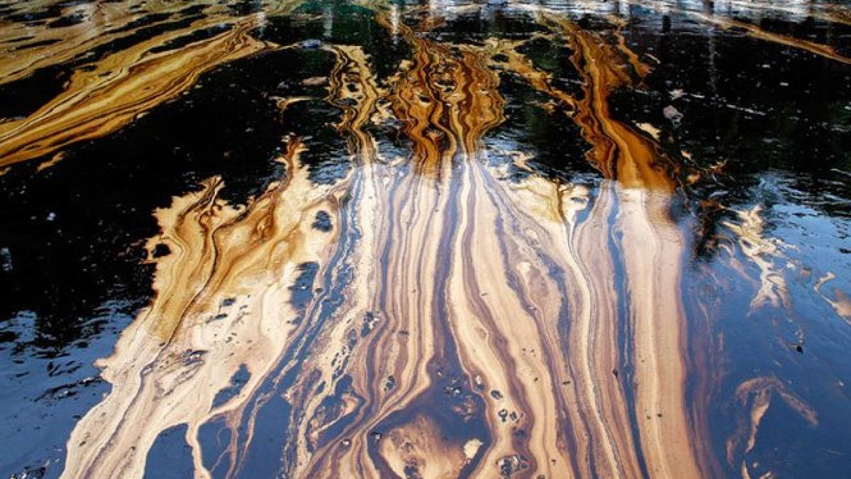 50 000 de galoane de petrol s au scurs pe strazile din los angeles