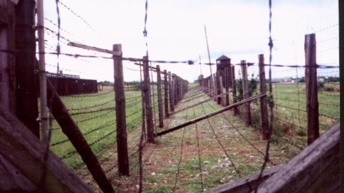 20 de tortionari nazisti au fost identificati in germania