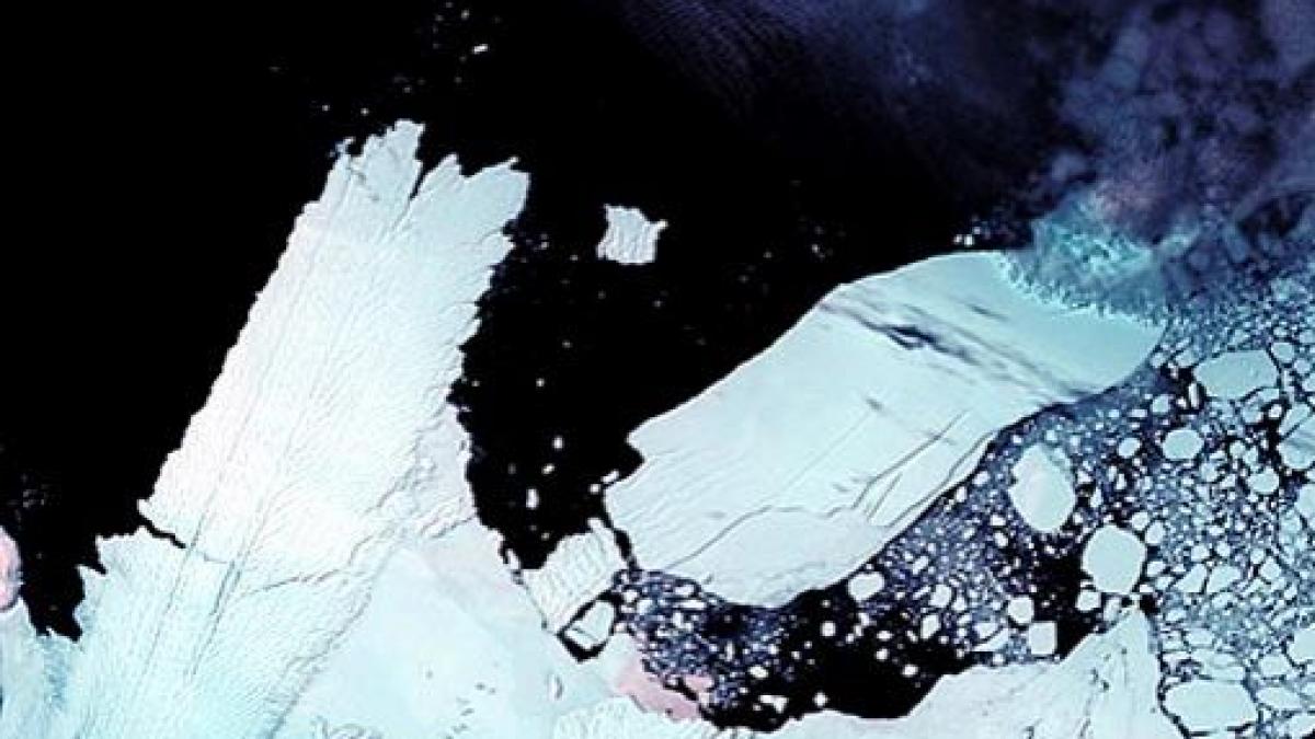 se intampla lucruri neobisnuite sub scoarta terestra antarctica se inalta cu o repeziciune ciudata