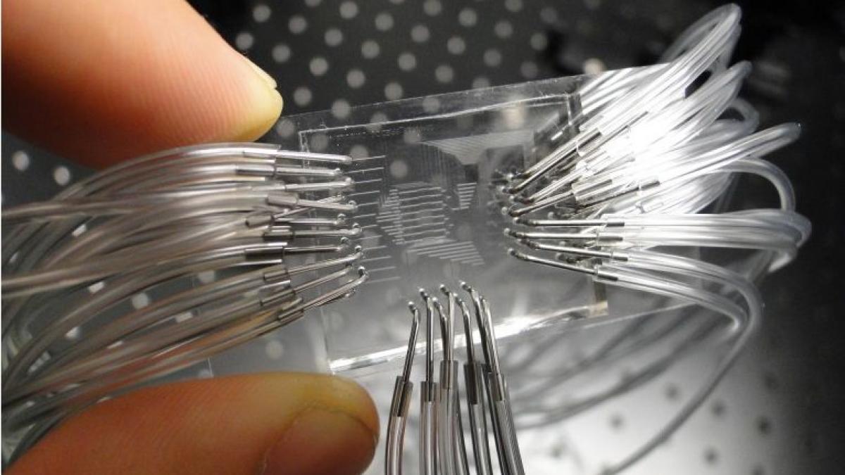 dispozitivul care ar putea revolutiona medicina detecteaza cancerul in stadiu incipient