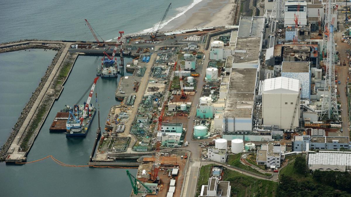 masura luata de tepco care provoaca furia organizatiilor ecologiste din japonia nu exista alta