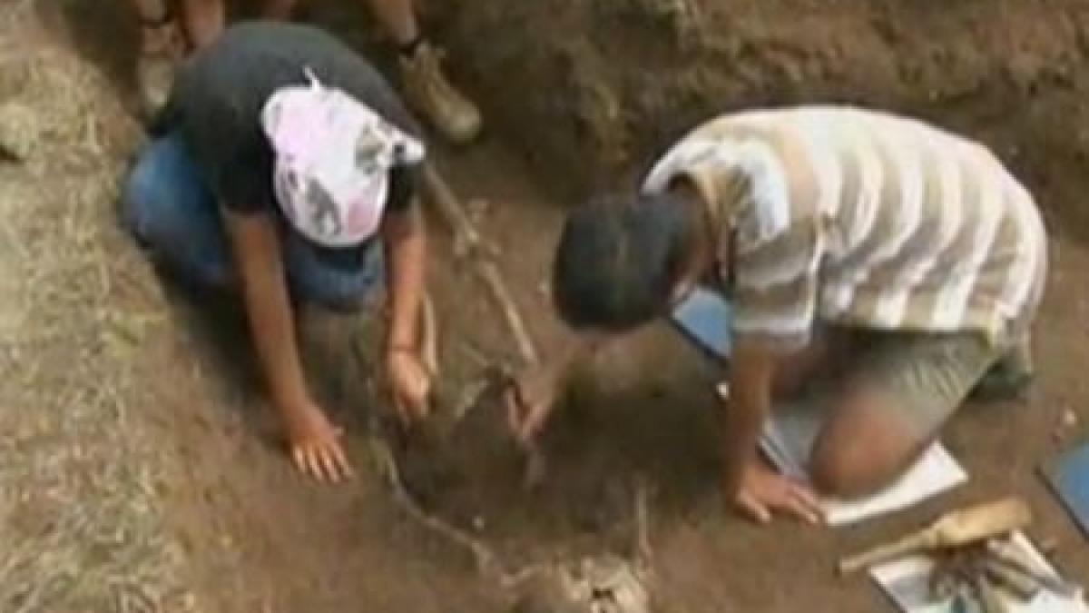 cea mai importanta descoperire arheologica din ultimii ani au fost dezgropate fosilele unui mamifer