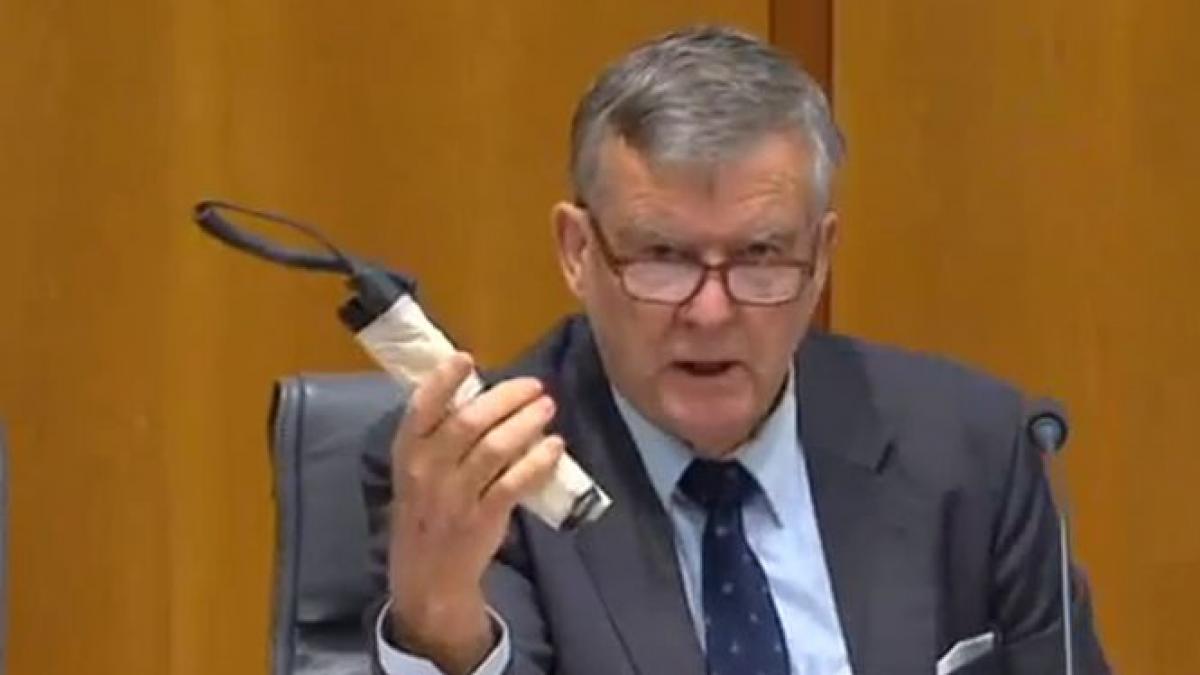 un senator australian a venit cu o bomba la serviciu care a fost motivul gestului extrem