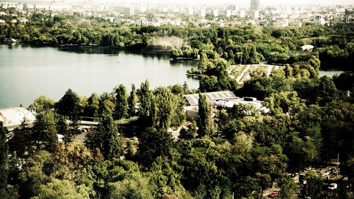 p romprest ofera clientilor servicii integrate pe piata de profil