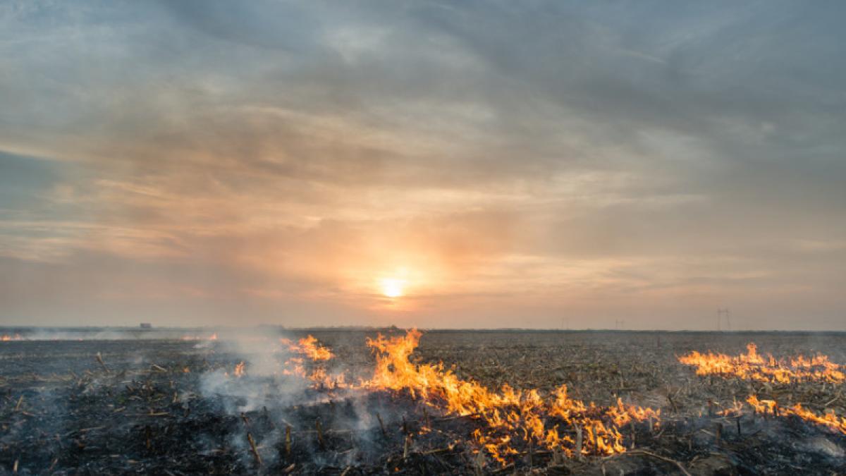 fenomenul din oceanul pacific ce ar putea aduce cea mai fierbinte vara peste romania din ultimul