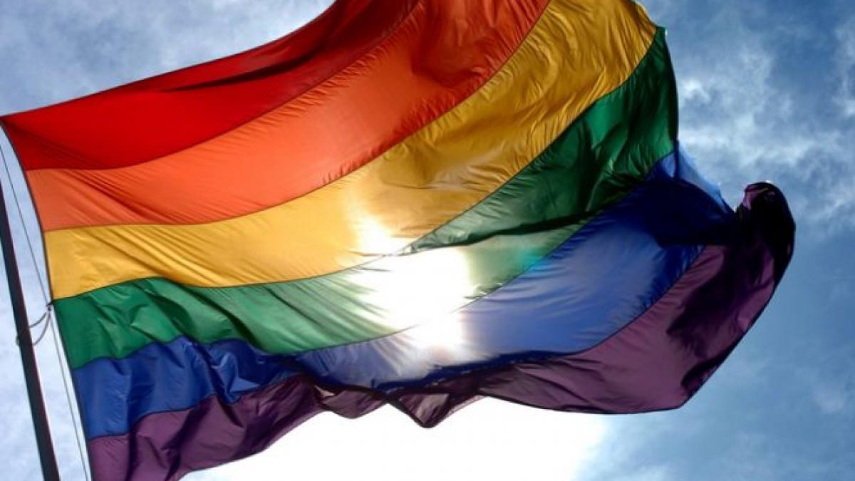 vicepresedintele camerei deputatilor viorel hrebenciuc in conflict cu minoritatile sexuale