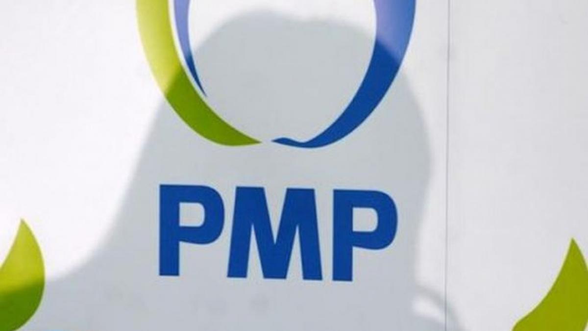 udrea s a decis candideaza pentru sefia pmp