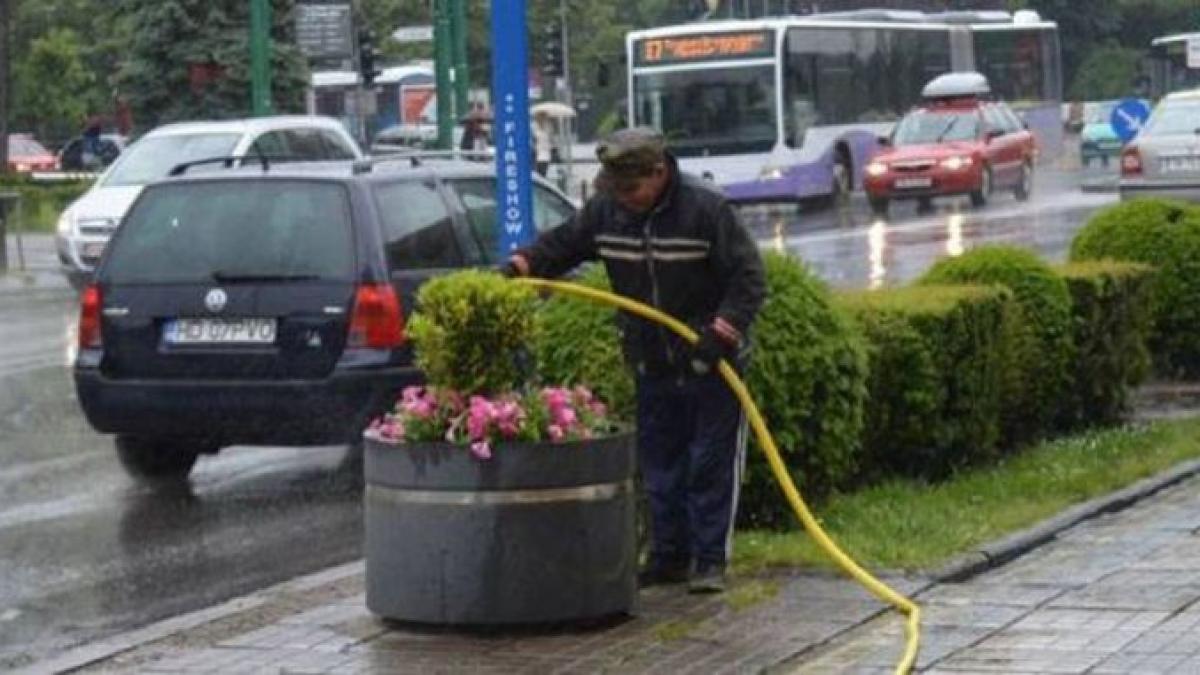 ce face acest ingrijitor roman pe o ploaie torentiala presa straina a preluat imediat imaginea