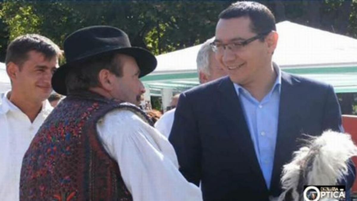 deziluzia optica taxele traieste