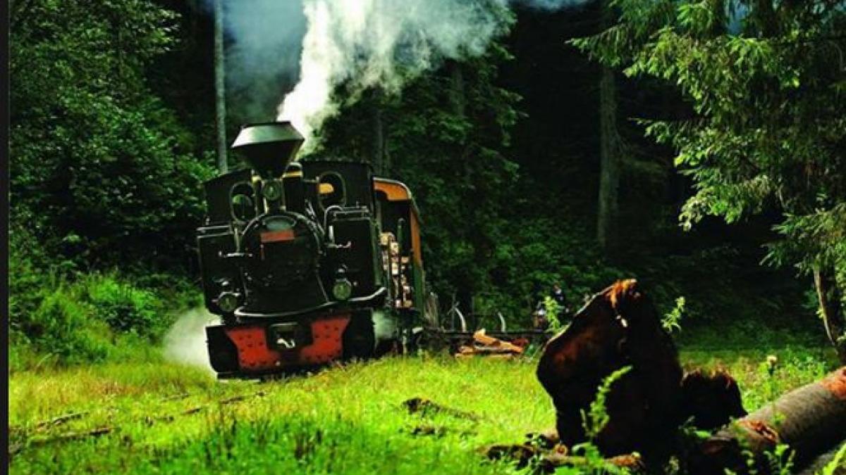 mocanita a venit in capitala bucurestenii se vor putea plimba timp de 5 zile cu cel mai vechi tren