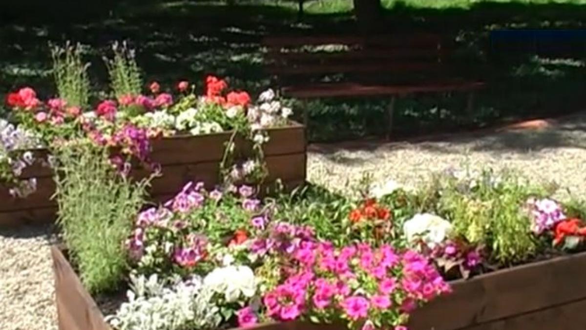 persoanele cu boli psihice tratate ca in anglia gradina terapeutica in curtea spitalului