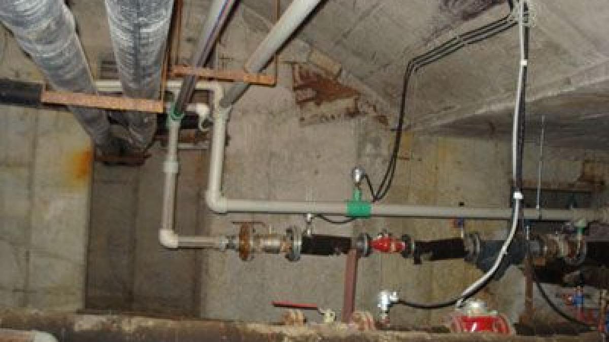 gravida moarta dupa ce a nascut in subsolul unui bloc