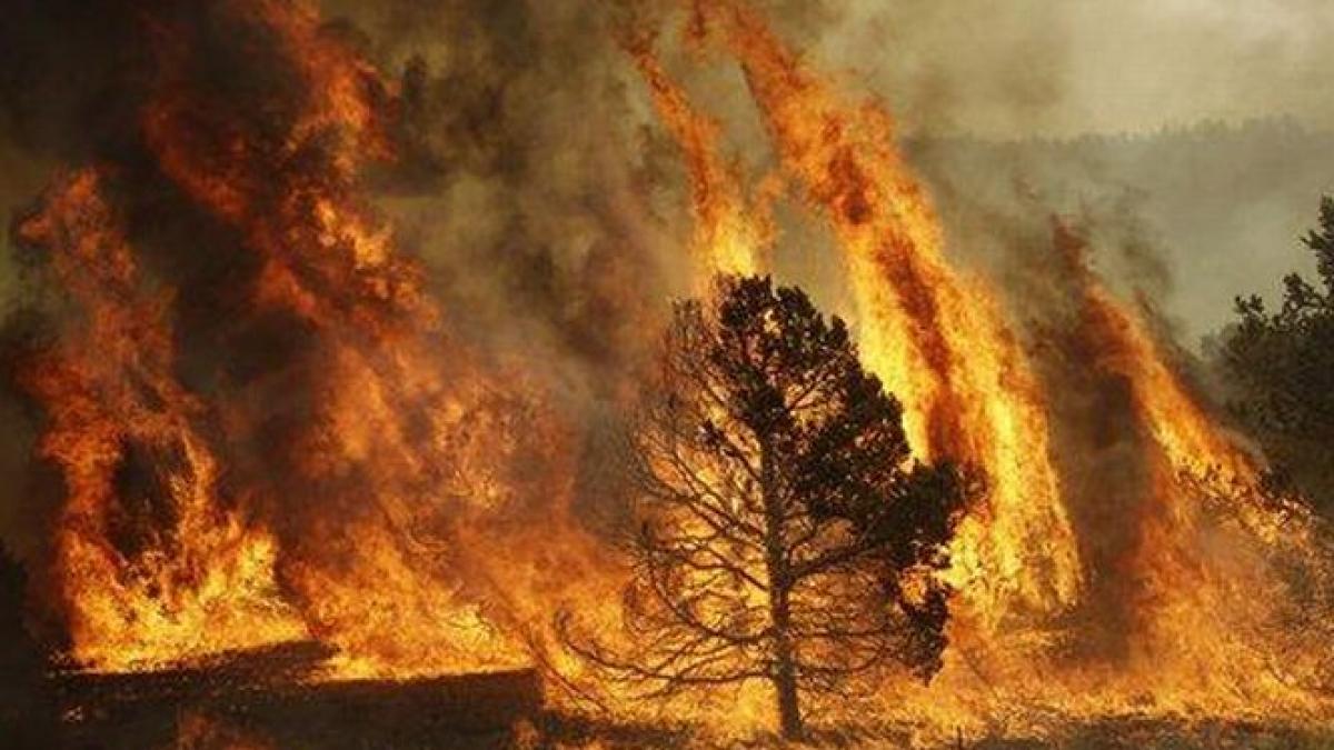 sute de locuinte au fost evacuate in sudul californiei din cauza incendiilor de vegetatie