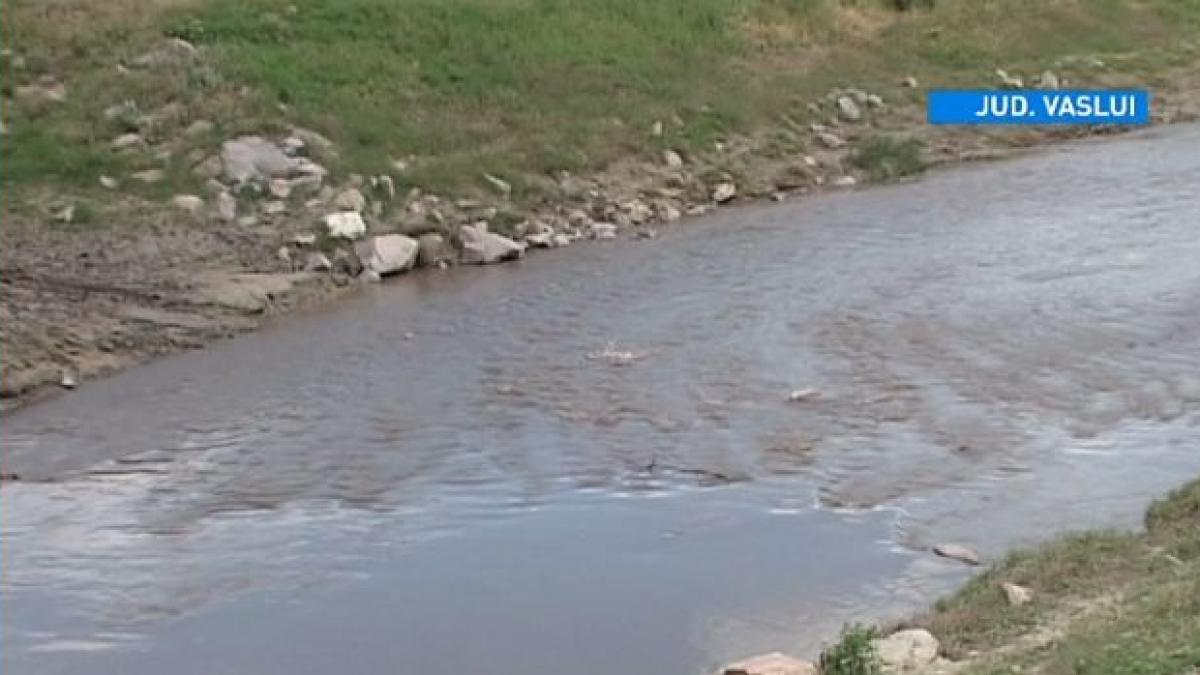 erou la 12 ani cu pretul vietii copilul si a dat viata pentru a si salva prietenul de la inec