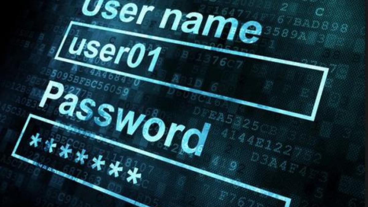 transgaz si romgaz tinte ale atacurilor cibernetice in 2013