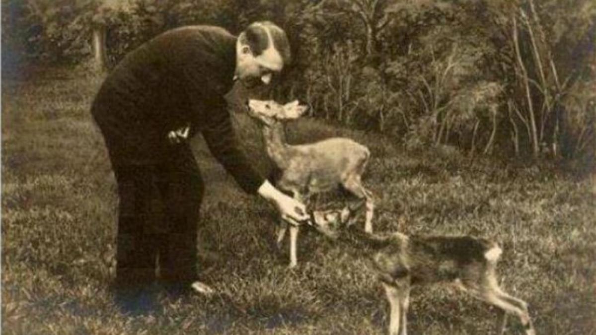 hitler lua 28 de medicamente in fiecare zi pentru o boala rusinoasa lucruri pe care nu le stiai