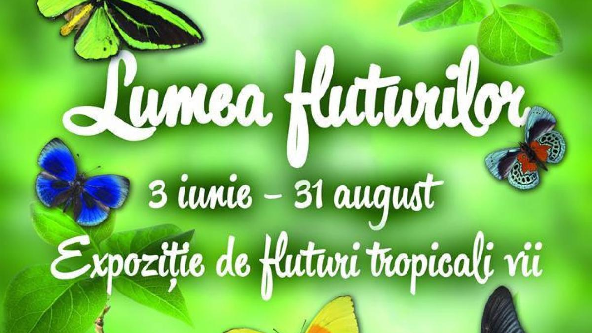 muzeul national grigore antipa va invita in lumea fluturilor o expozitie de fluturi tropicali vii