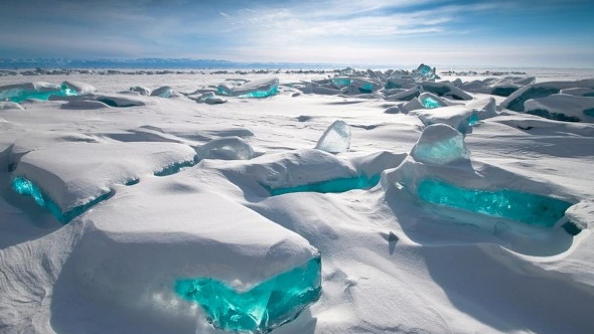 descoperire uimitoare in rusia sunt vechi de 120 de milioane de ani si sunt intr o stare perfecta