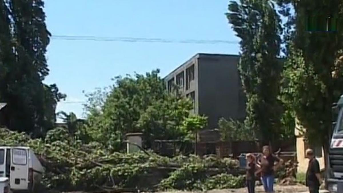 copaci pusi la pamant sute de case inundate si zeci de masi distruse furtunile din ultimele ore au