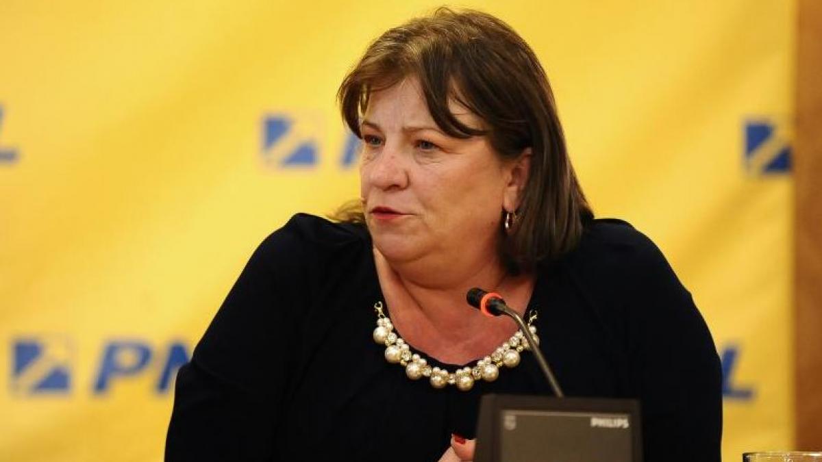 norica nicolai critica dur fuziunea pnl pdl
