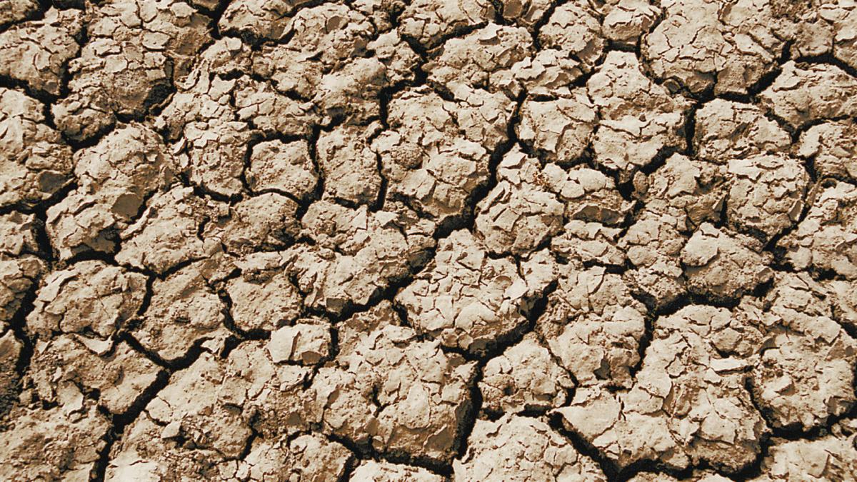 seceta influentata de activitatea oamenilor