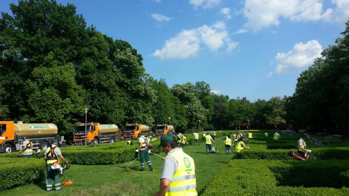 p romprest isi intensifica activitatea de salubritate pe timpul verii