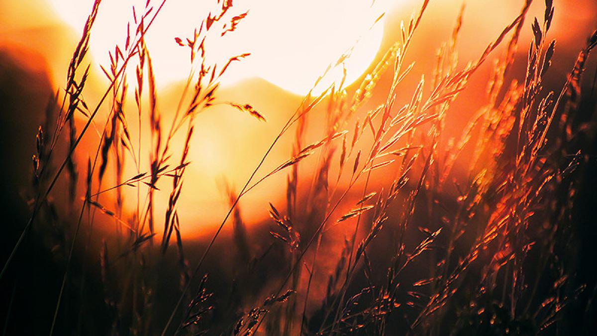 vremea se incalzeste prognoza meteo pentru miercuri si joi