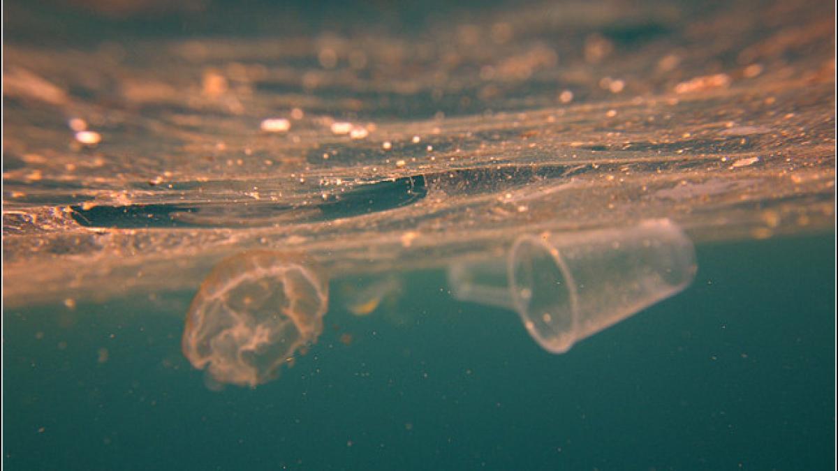 88 din suprafata oceanelor contaminata cu microfragmente plastice