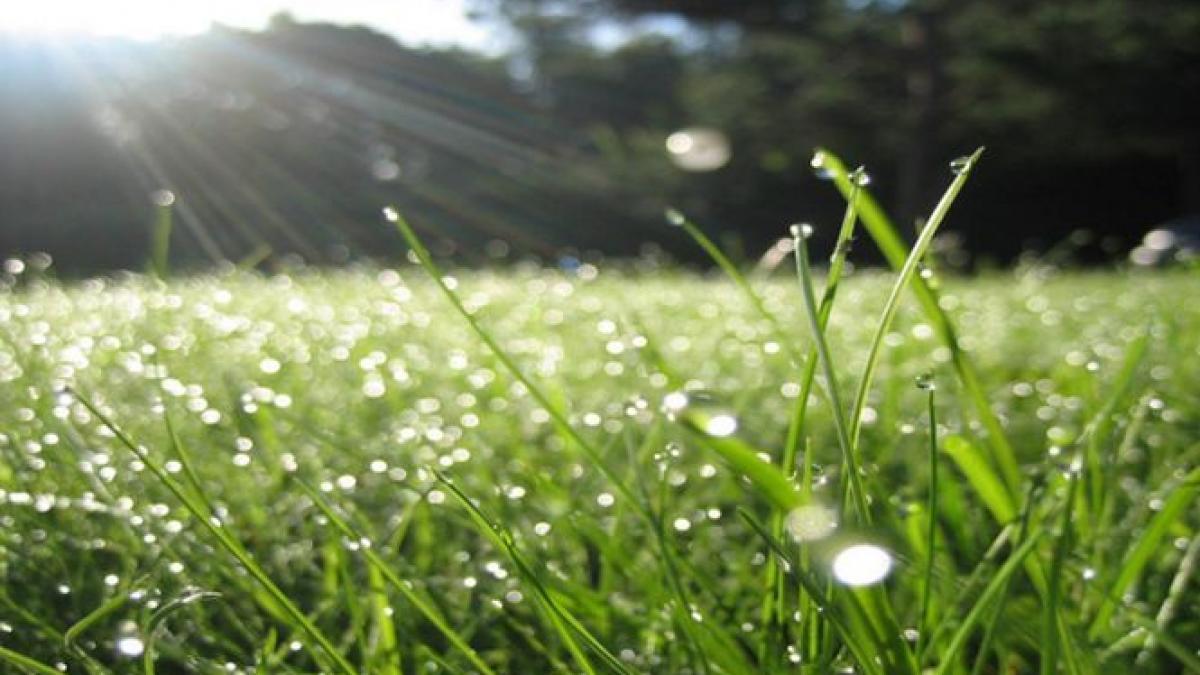 revin ploile prognoza meteo pentru joi si vineri