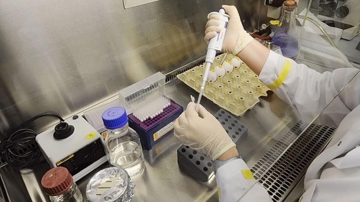 un savant a creat virusul fata de care specia umana nu se poate apara efectele unei pandemii ar fi