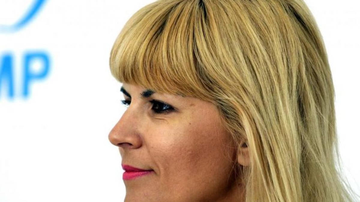 elena udrea anunta ca pmp isi poate schimba oricand candidatul la prezidentiale