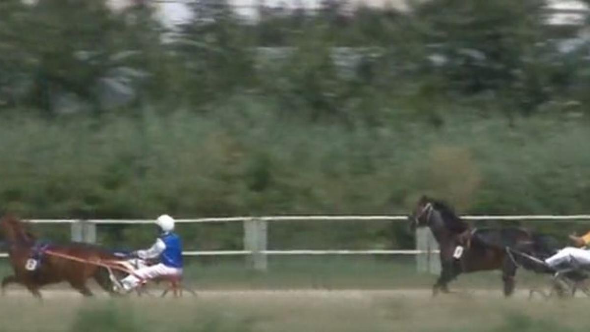 un nou record la derby ul de trap al romaniei cei mai buni patru cai de curse din tara s au aliniat