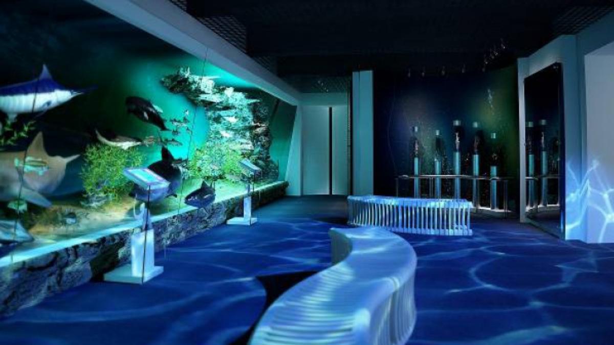 muzeul antipa organizeaza programul pentru copii aventura dezvoltarii