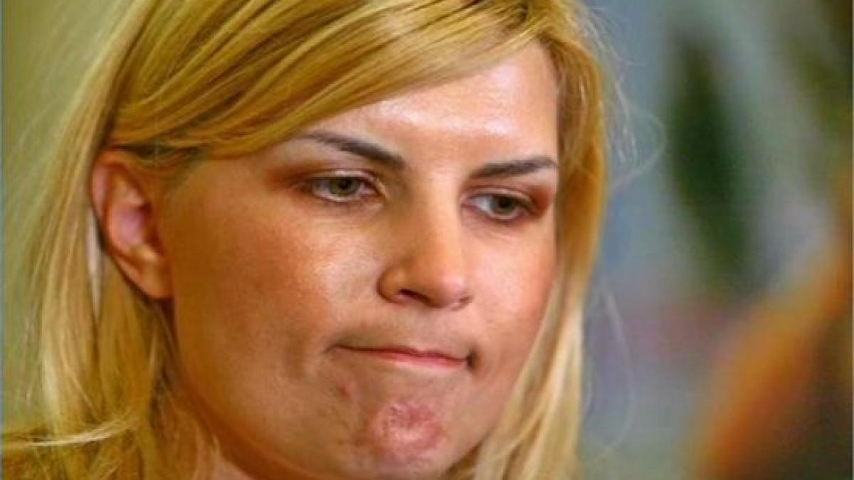 deziluzia optica frumoasa din padurea ametita