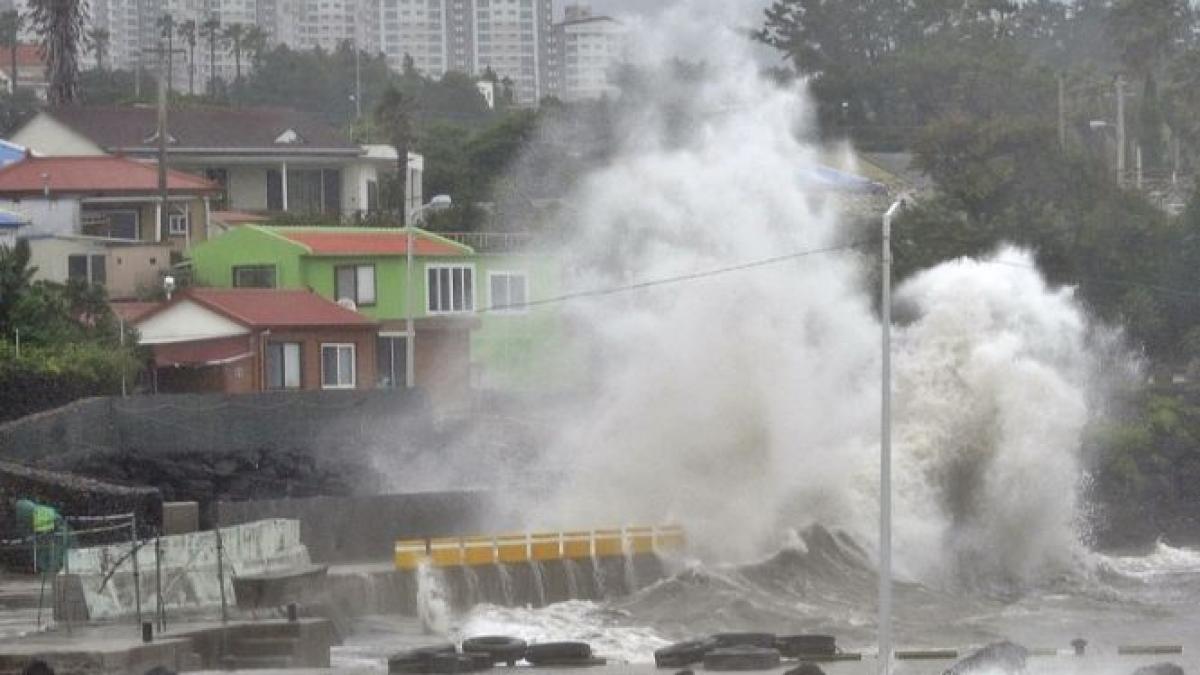 taifunul neoguri a provocat moartea a 5 persoane si ranirea altor 55