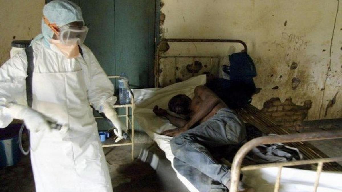ebola a provocat peste 600 de decese in vestul africii
