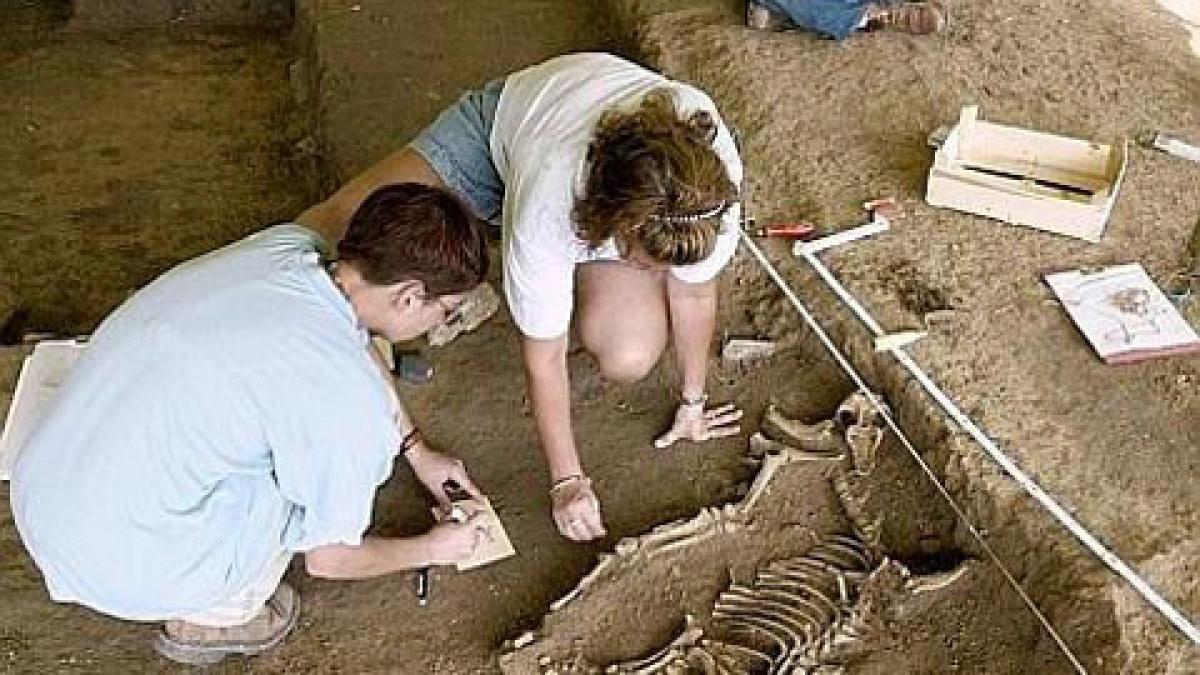 o vietate despre care se credea ca a disparut acum 4 milioane de ani gasita vie vezi aici cum arata