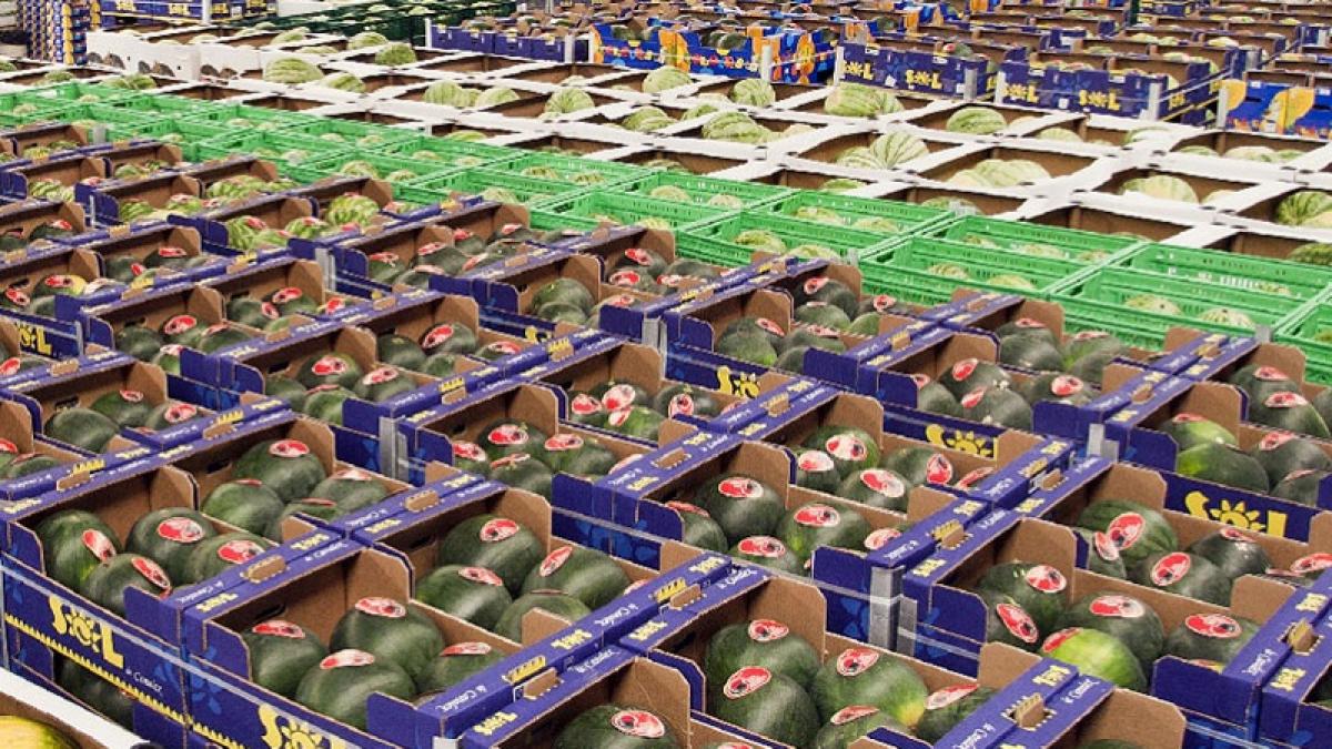 stabilitatea romaniei pusa in pericol de piata neagra cati bani s ar strange daca toate ramurile