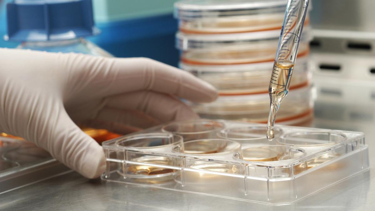 situatie alarmanta bolile rare greu de diagnosticat in romania