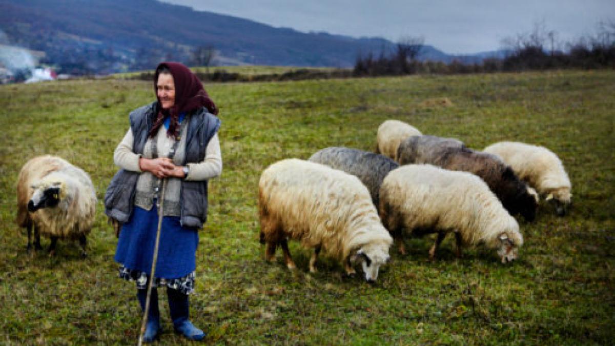 romania pe locul ii in ue privind fraudele din domeniul cheltuirii fondurilor europene italia ne