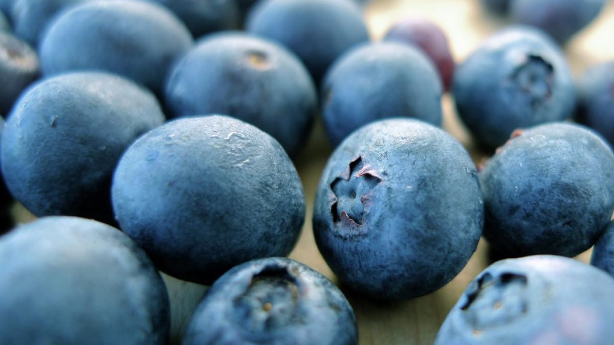 alimentul minune care poate preveni cancerul cum trebuie consumat