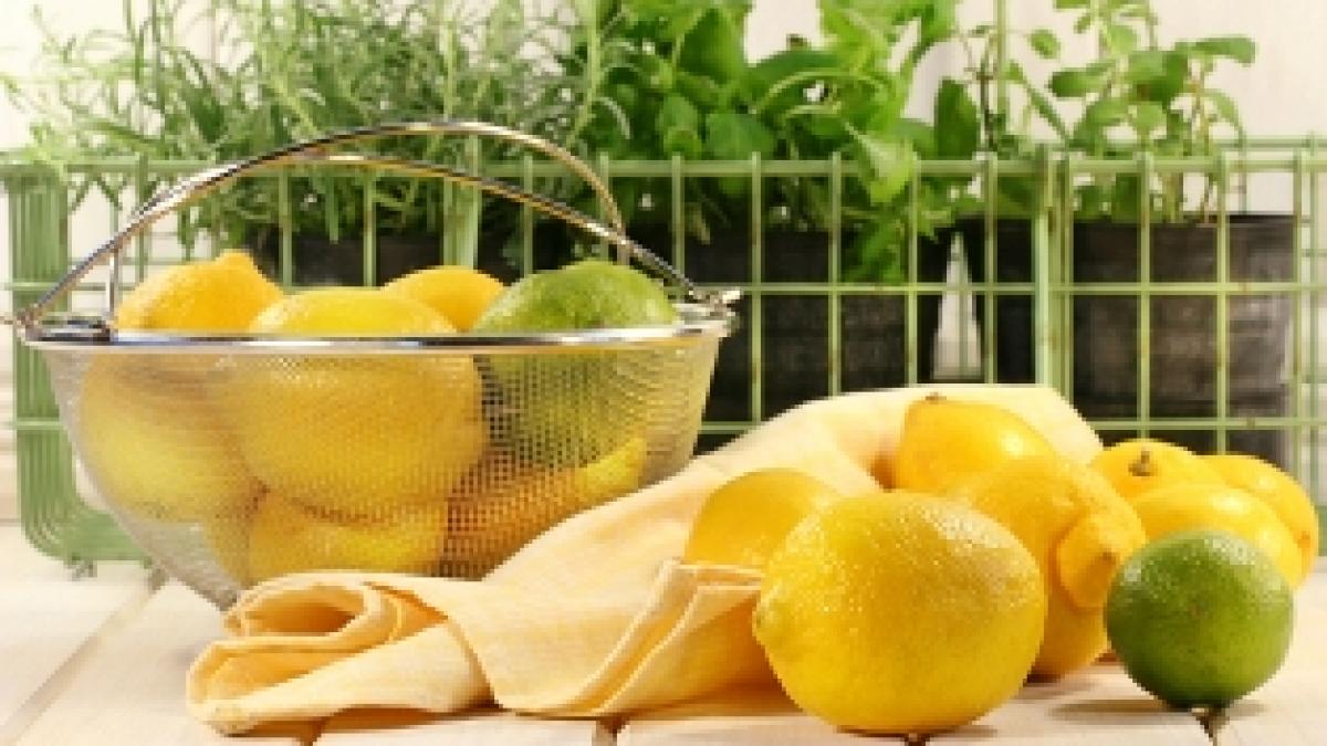 leacuri tratamente remedii naturale pentru pietrele la rinichi