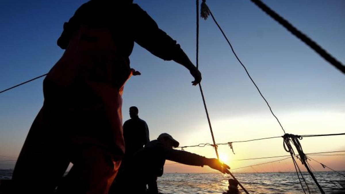 ambarcatiune cu 54 de migranti din orientul mijlociu interceptata de politistii romani in marea