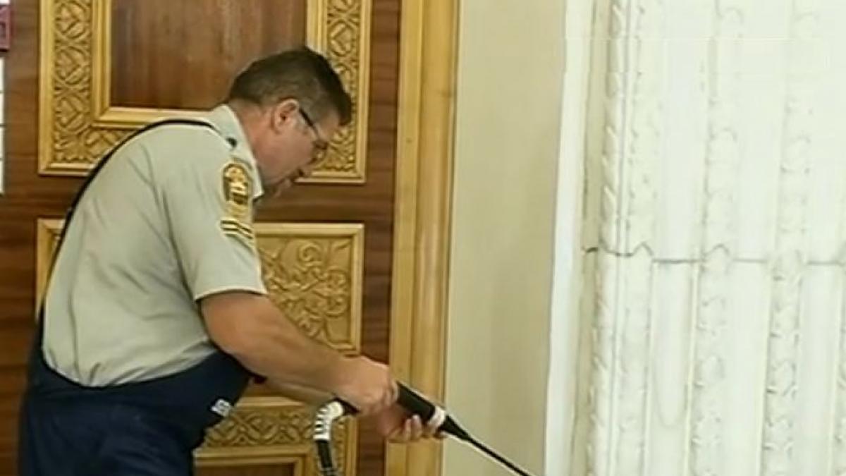 senatorii platesc 35 000 de euro pentru lustruirea marmurei din palatul parlamentului