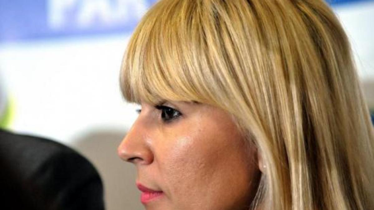 udrea despre fuziunea pdl pnl pdl dispare blaga stinge lumina