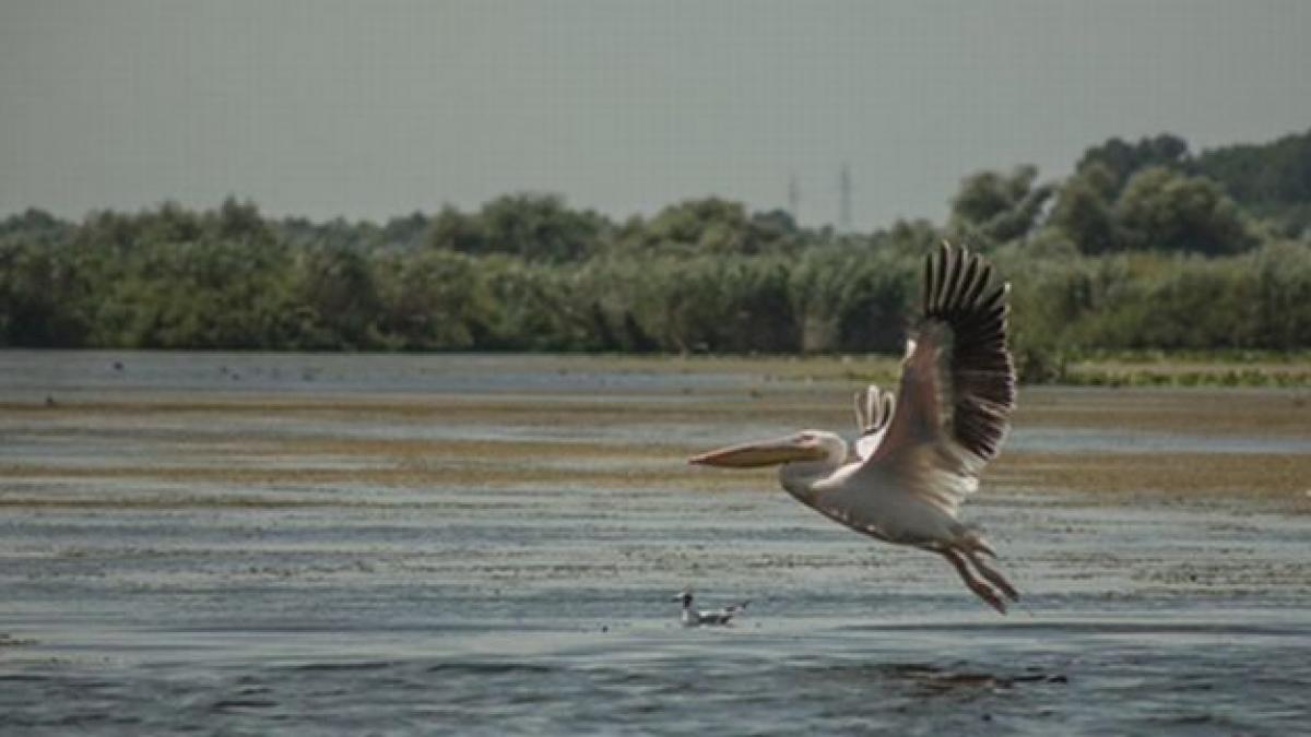 antena 3 e si aici in delta dunarii