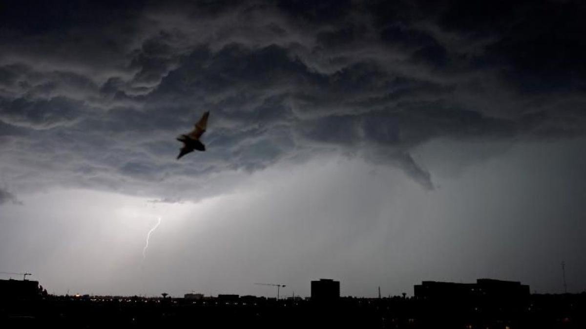 cod galben de vijelii si ploi in bucuresti