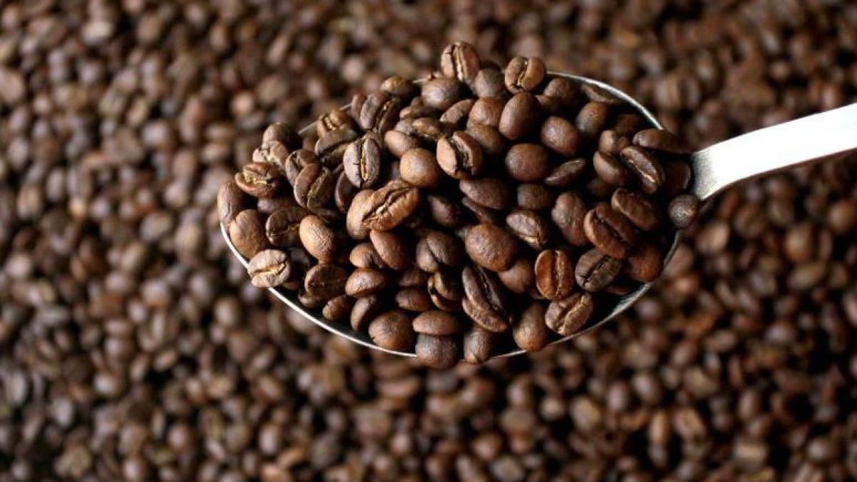 numai de bine magica poveste a cafelei