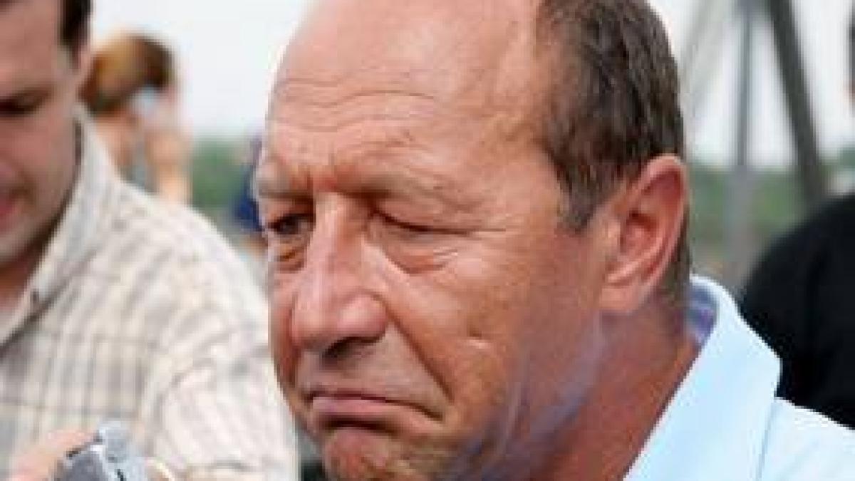 deziluzia optica fetisoara lui spuma mustului